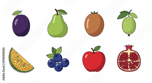 Various colorful fruit illustrations