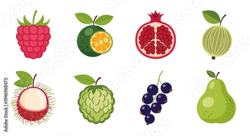 Various colorful fruit illustrations