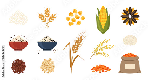 Various grains and seeds isolated on white