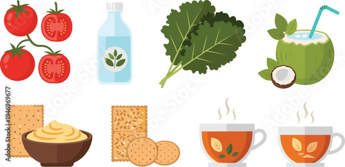 Healthy Food and Drink Icon Set Featuring Tomatoes, Coconut Water, Kale, Biscuits, and Tea for Nutrition and Wellness Designs