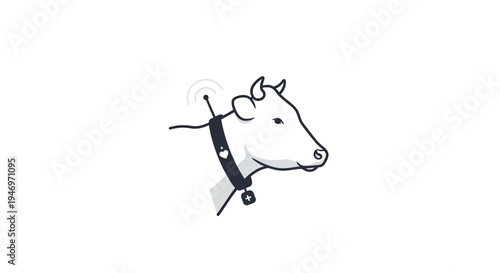 Cow head with leather halter closeup.