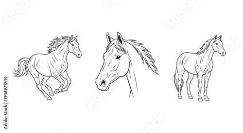Outlined Horse Drawings in Various Poses