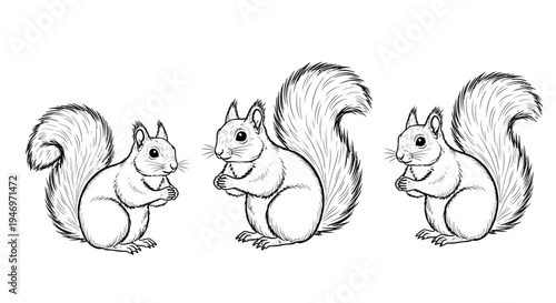 Three Cartoon Squirrels Holding Nuts