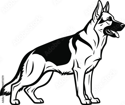 Black and white german shepherd dog standing sideways