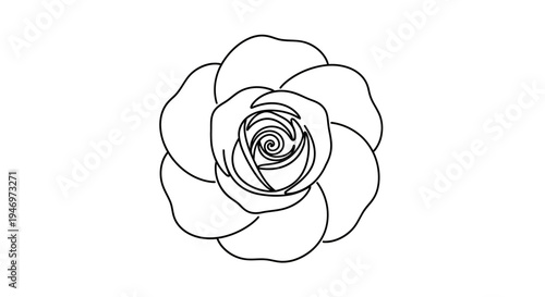 Black and white line drawing rose.