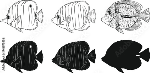 Six fish in black and white with different patterns and shading marine life