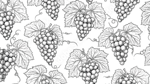 Detailed black and white pattern features bunches of grapes and vine leaves in a classic hand-drawn etching or sketch style.