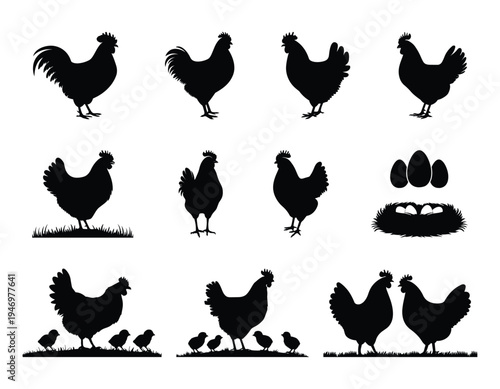 Silhouette set of chicken, Hen, Cock and Chicks