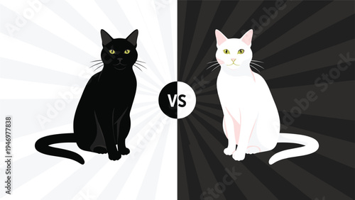 Black cat and white cat sitting on opposite sides of a split background representing a vs competition or contrast.