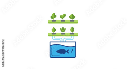 Fish in water tank with plants.