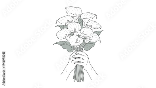 Close-up illustration of hands holding a beautiful bouquet of calla lilies as a thoughtful gift or decorative gesture.