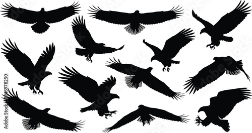 Set of Black Vector Eagle and Hawk Silhouettes Including Flying Predatory Birds Eagles Hawks Falcons and Majestic Raptors for Wildlife Nature and Logo Design Projects