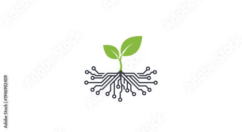 Green Sprout Growing From Soil.