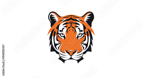 Tiger Head Illustration with Orange Fur.
