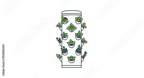 Green succulent plants in pots.