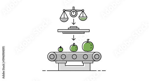 Industrial conveyor belt with apples.