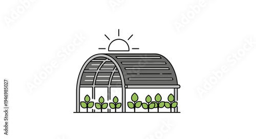Greenhouse with plants and sun.