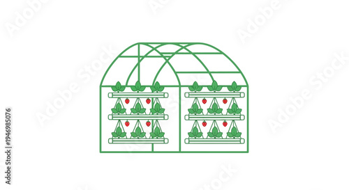 Greenhouse with plants inside structure.