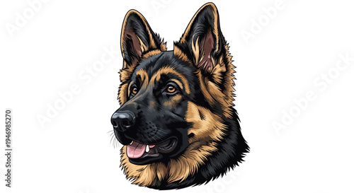 Detailed vector illustration of a German Shepherd dog head