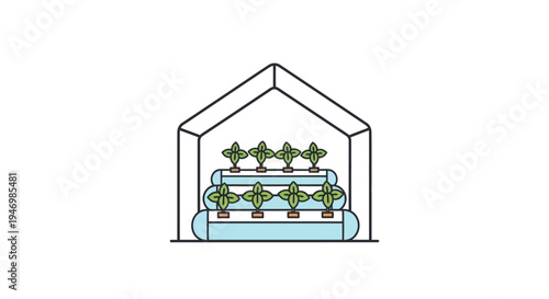 Hydroponic system with green plants growing.