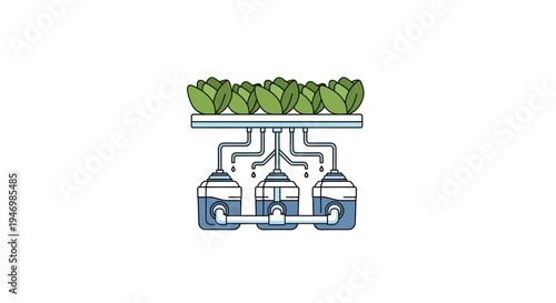 Hydroponic System with Green Plants.
