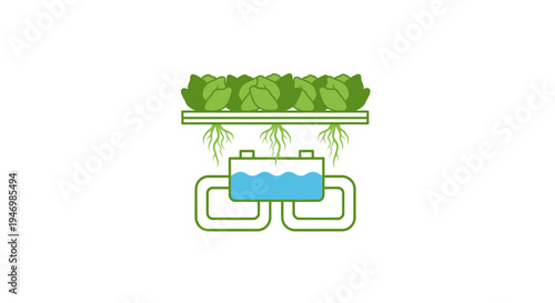 Hydroponic system with green plants growing.
