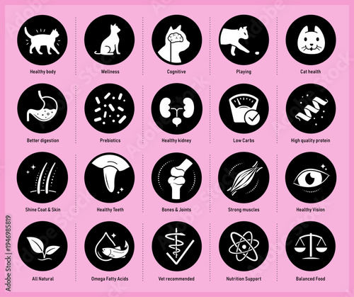 A set of icons for cat. The components of a dog's health. The outline icons are well scalable and editable. Contrasting elements are good for different backgrounds. EPS10.	