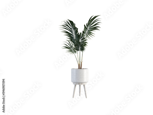 Palm Frond Plant in Modern White Pot