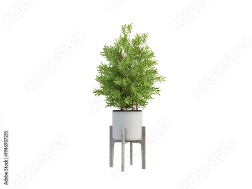 Dense Green Plant in White Pot on Stand