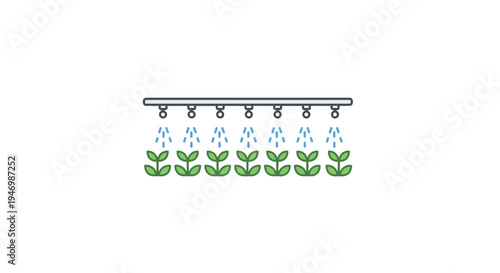 Irrigation System Watering Young Plants.