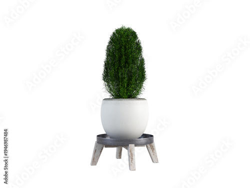 Close-Up of Lush Green Plant Leaves