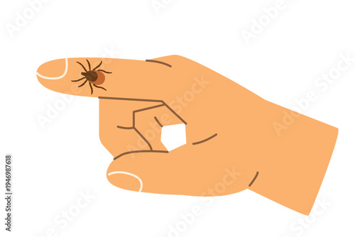 tick on the finger; perfect for educational materials, medical guides, pest control campaigns, disease prevention infographics - vector illustration