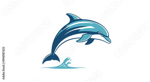 vector of dolphin isolated on white background