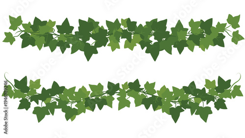Two decorative borders or garlands composed of lush green ivy leaves, creating a natural and elegant design element on a white background.