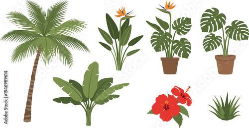 Tropical Palm, Monstera, Hibiscus, and Bird of Paradise Plant Collection, Ideal for Nature-Inspired Designs, Gardening, and Home Decor