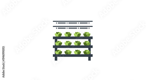 Lettuce Growing on Vertical Farm Shelves.