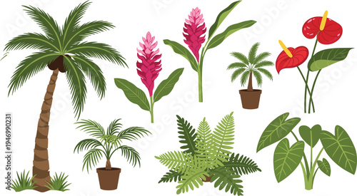 Tropical Palm, Fern, and Flowering Plant Collection with Vibrant Anthurium, Ginger, and Potted Plants, Perfect for Nature-Inspired Designs and Home Decor