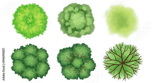 Six green broccoli florets