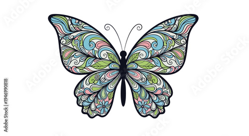 Colorful Butterfly with Open Wings.