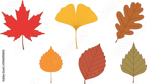 Autumn Leaf Collection with Ginkgo, Maple, Oak, and Fall Leaves in Vibrant Red, Yellow, and Orange Tones, Perfect for Seasonal Designs and Decor