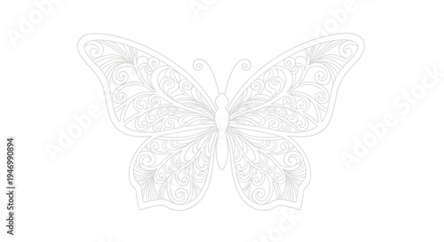 Detailed drawing of a butterfly.