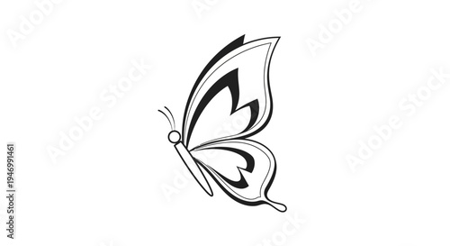 Black and white butterfly illustration.