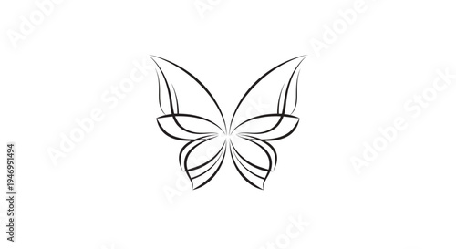 Butterfly Wings Line Art Illustration.