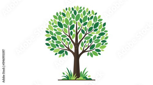 A leaf tree, a spring forest plant, with green leaves on its branches and trunk, exemplifies deciduous wood vegetation in summer, rendered as an abstract botanical flat vector illustration on a white