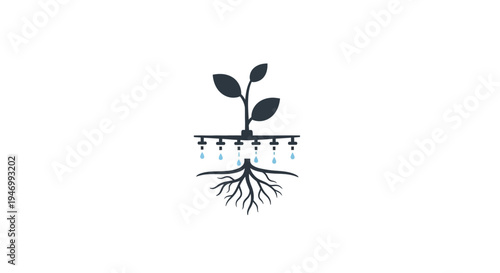 Plant Growing With Roots Underground.