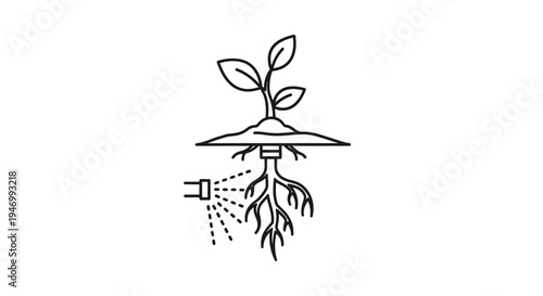 Plant Growing with Water Spray.