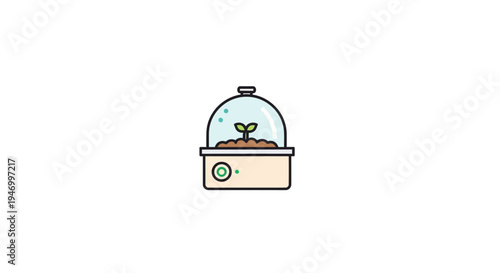 Small green plant in pot.