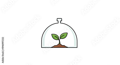 Small green plant in soil.