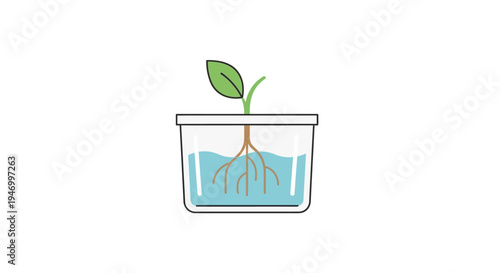 Small green plant in a container.