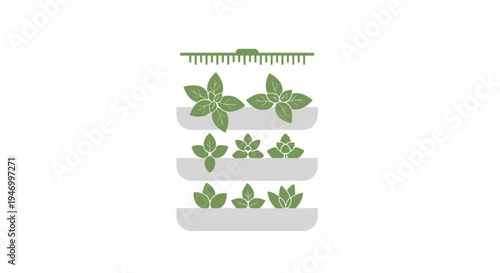 Small green plants on shelves indoor.